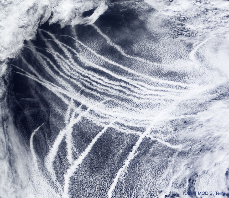 Opisywane zdjęcie pokazuje ślady statków nad Pacyfikiem
widoczne przez instrument MODIS na pokładzie należącego
do NASA satelity Terra. Ślady statków pokazują się, jako
białe smugi nad błękitnym oceanem. Zobacz opis. Po kliknięciu
obrazka załaduje się wersja o największej dostępnej
rozdzielczości.