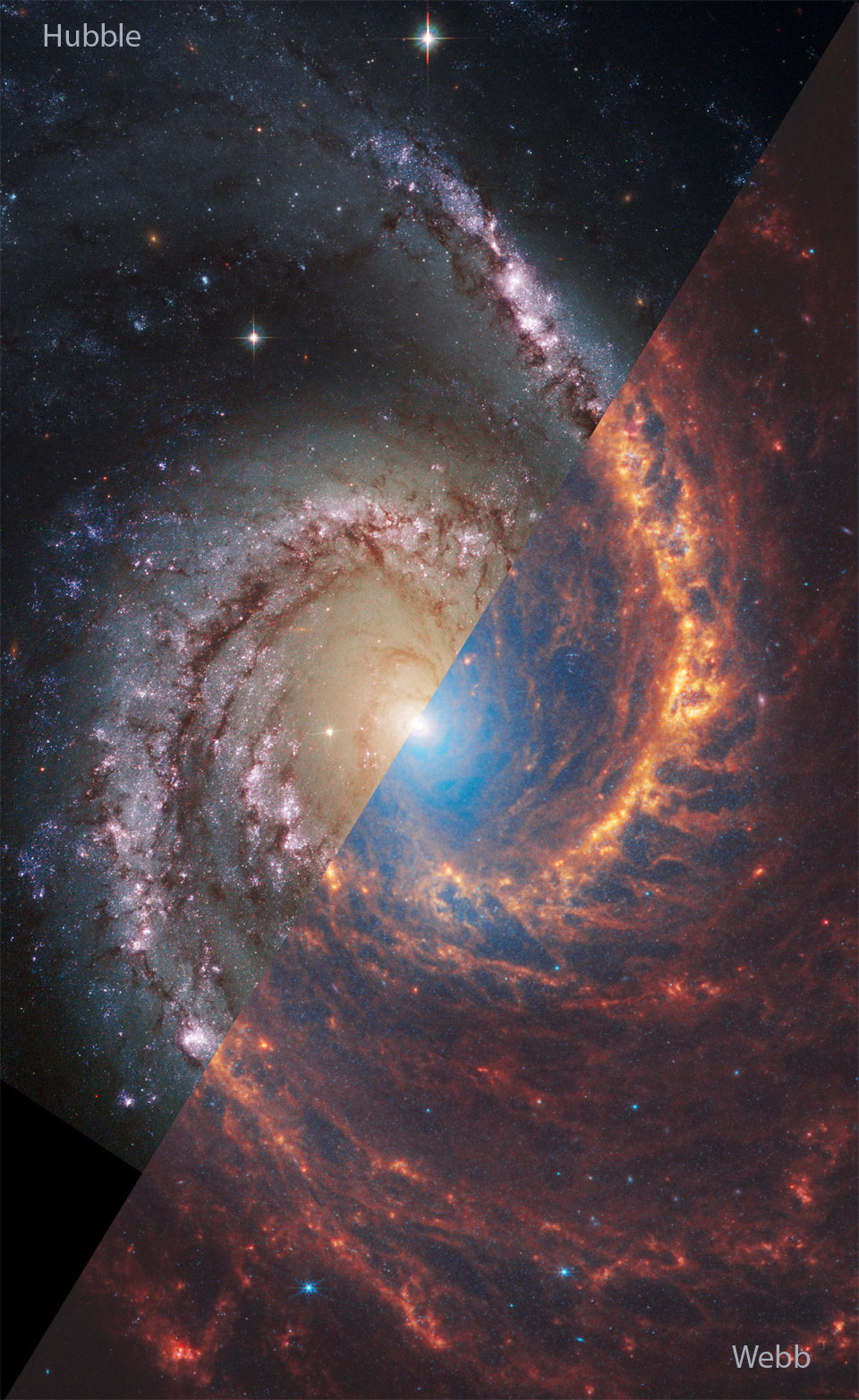 Na zdjęciu widzimy galaktykę spiralną NGC 1566, ukazaną na obrazie z teleskopu Hubble'a (światło widzialne)
u góry, po lewej oraz z teleskopu Webba (podczerwień), u dołu, po prawej. Po najechaniu kursorem na zdjęcie 
pojawią się obrazy z drugiego teleskopu.
Więcej szczegółowych informacji w opisie poniżej.