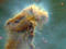 Click to load APOD for this date