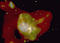 Click to load APOD for this date