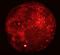 Click to load APOD for this date