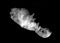 Click to load APOD for this date