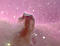 Click to load APOD for this date