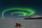 Thumbnail image. Click to load APOD for this date