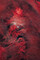 Thumbnail image. Click to load APOD for this date