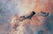 Thumbnail image. Click to load APOD for this date