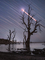 Thumbnail image. Click to load APOD for this date