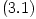 (3.1)