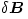 \delta\boldsymbol B