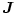 \boldsymbol J