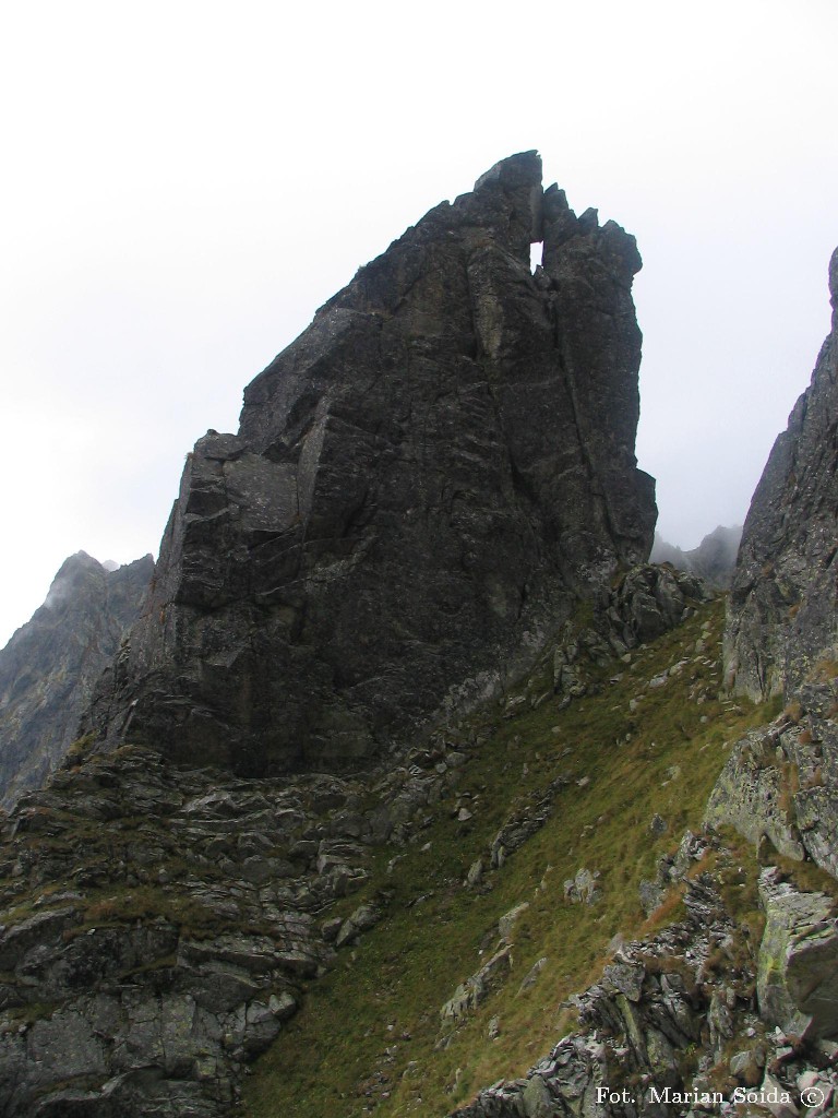 Buczynowa Turniczka z grani