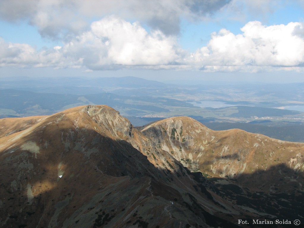 Salatyn, Brestowa z Pachoła