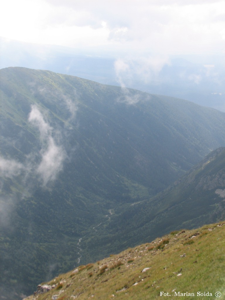 Dolina Kamienista spod Bystrej