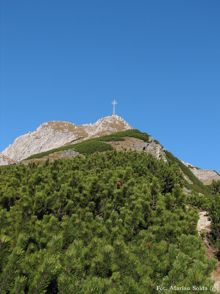 Giewont z Kondrackiej Przełęczy