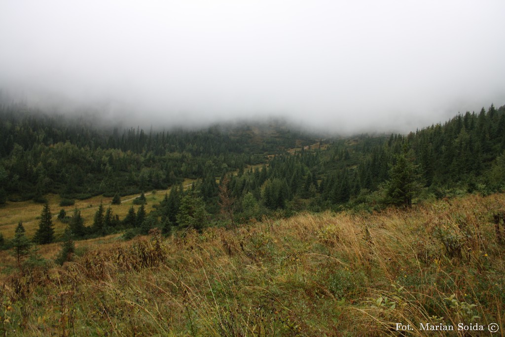 Dolina Kondratowa