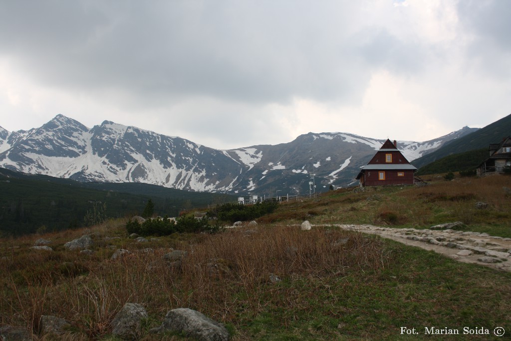 Pośrednia Turnia, Beskid z Doliny Gąsienicowej