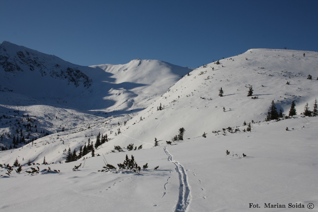 Pośrednia Turnia, Beskid z Królowych Rówienek