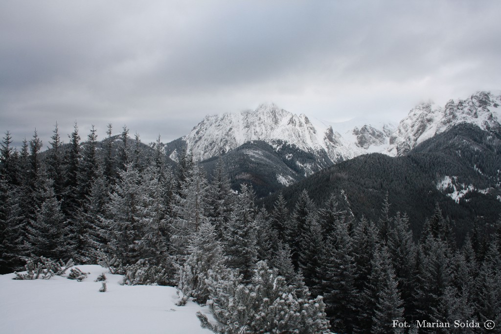 Giewont, Kobylarz z Jaworzynki Miętusiej