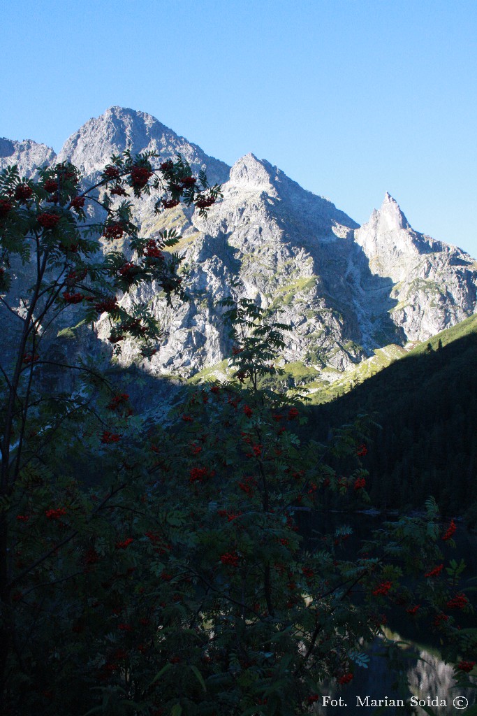 Mięguszowiecki Szczyt Wielki, Cybryna, Mnich z nad Morskiego Oka