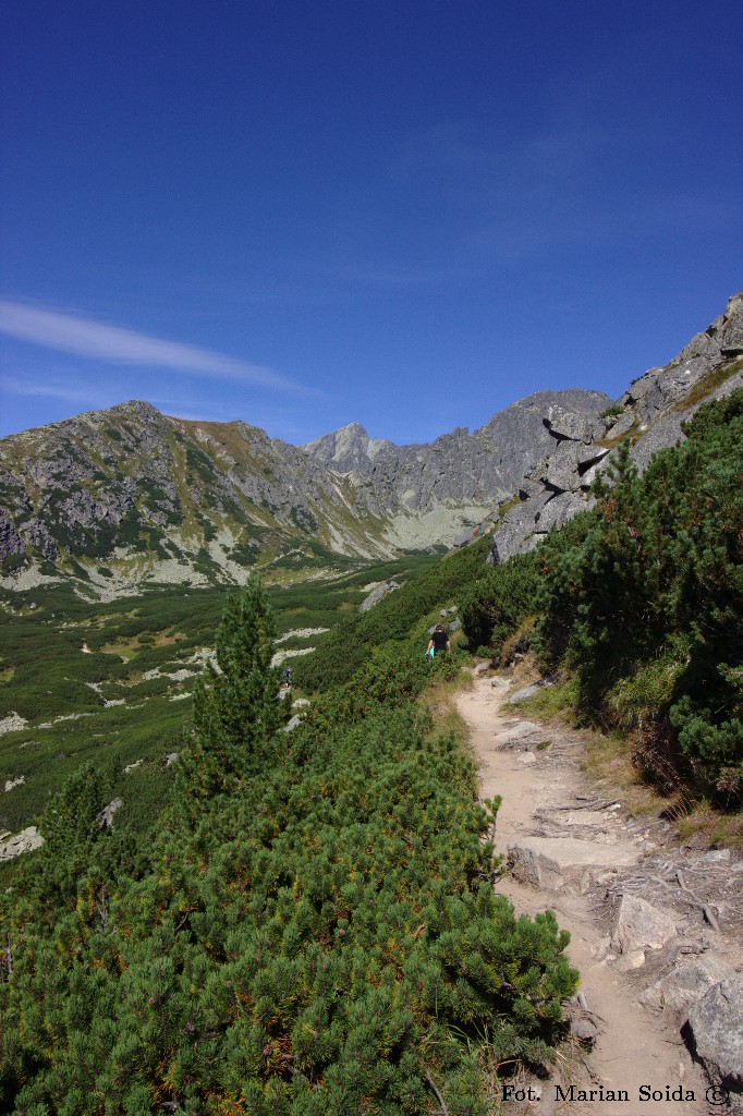 Dolina Furkotna spod schroniska pod Soliskiem